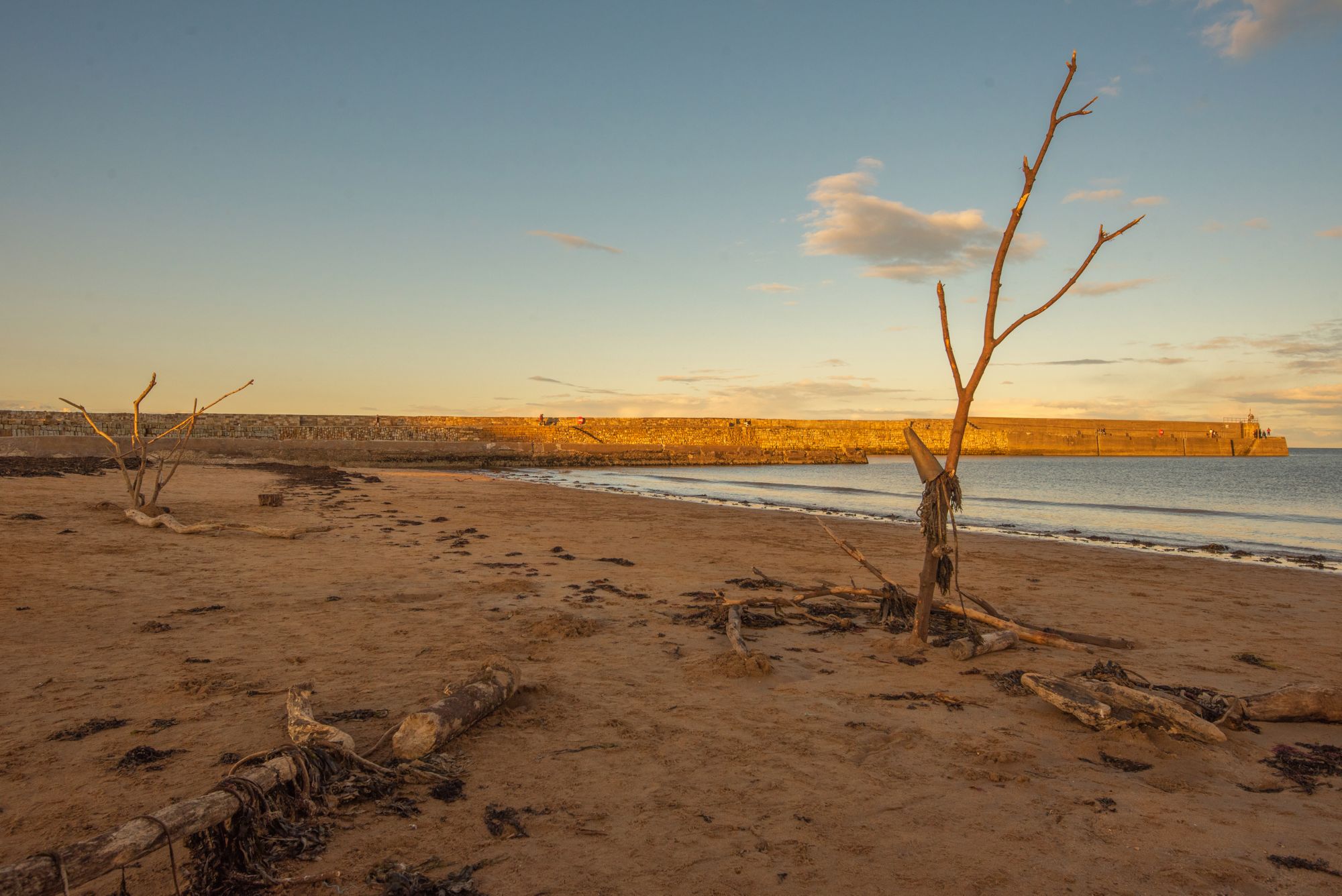 Landscape image of East Sands beach, St Andrews. A long stone wall pier lines the background and in the foreground, large pieces of driftwood are seen dotted along the sandy beach.